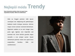 Zajímavé Trendy – Návrh Webových Stránek Šablon