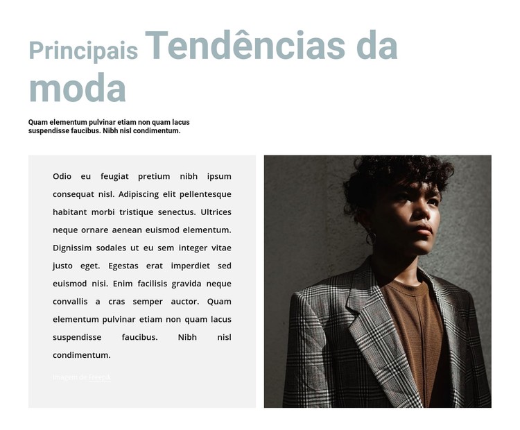 Tendências interessantes Template CSS