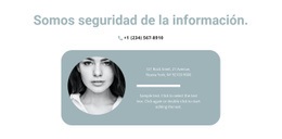 Póngase En Contacto Con El Gerente - Creador Del Sitio Web