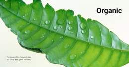 Organic Nature - Html Code Block