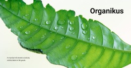 Szerves Természet - Reszponzív Weboldal Tervezés