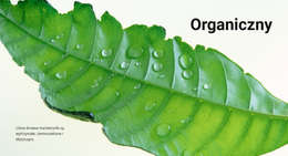 Pobierz Motyw WordPress Dla Natura Organiczna