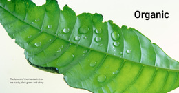 Biologische Aard - Websitesjablonen