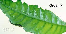 Organik Doğa Için WordPress Temasını Indirin