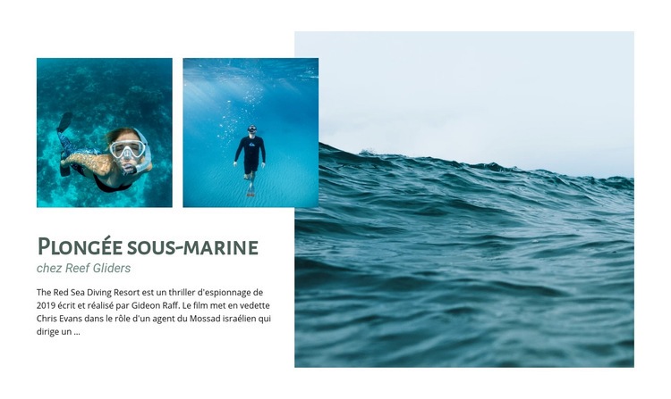 Plongée sous-marine Maquette de site Web