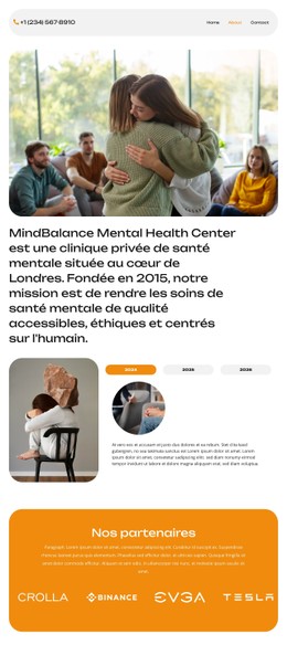 Soins psychiatriques professionnels Modèles CSS