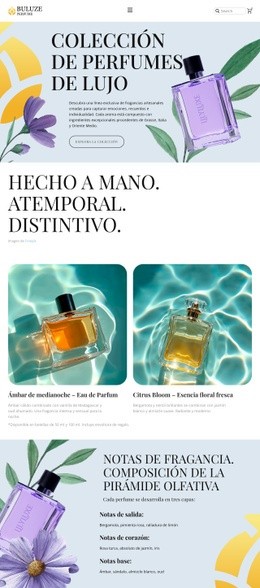 Boutique De Perfumes Modernos