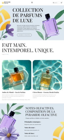 Boutique De Parfums Modernes