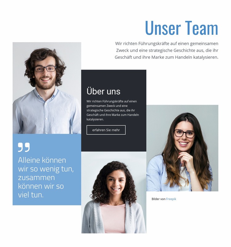 Wir sind Profis Website design