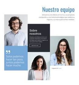 Somos Profesionales Maqueta De Sitio Web