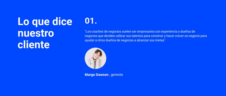 Que dicen nuestros clientes Tema de WordPress