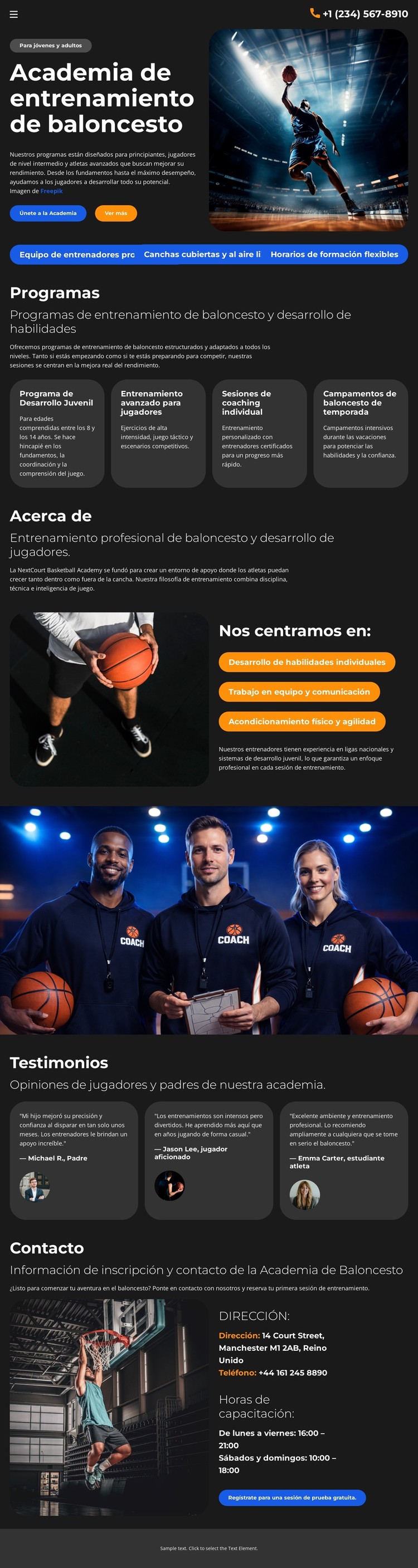 Escuela de entrenamiento de baloncesto Plantilla CSS