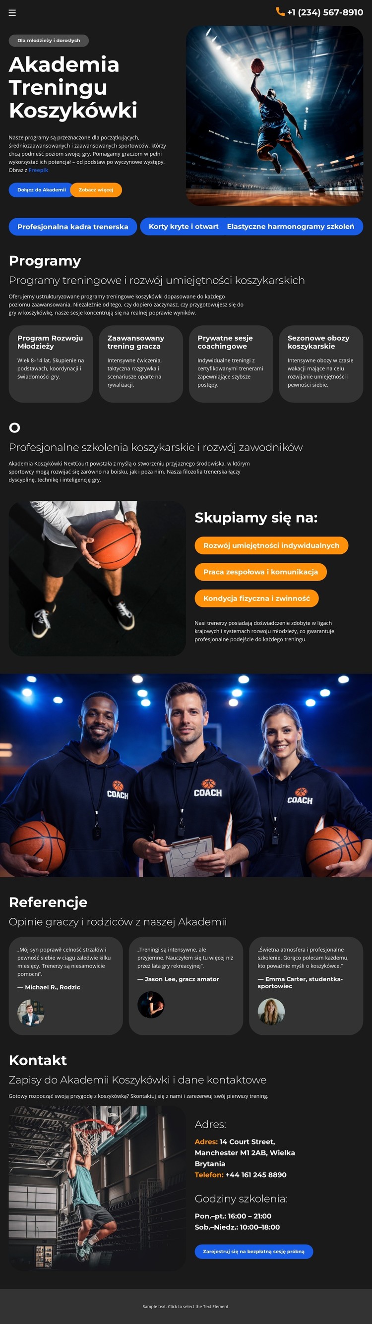 Szkoła Treningu Koszykówki Szablon CSS