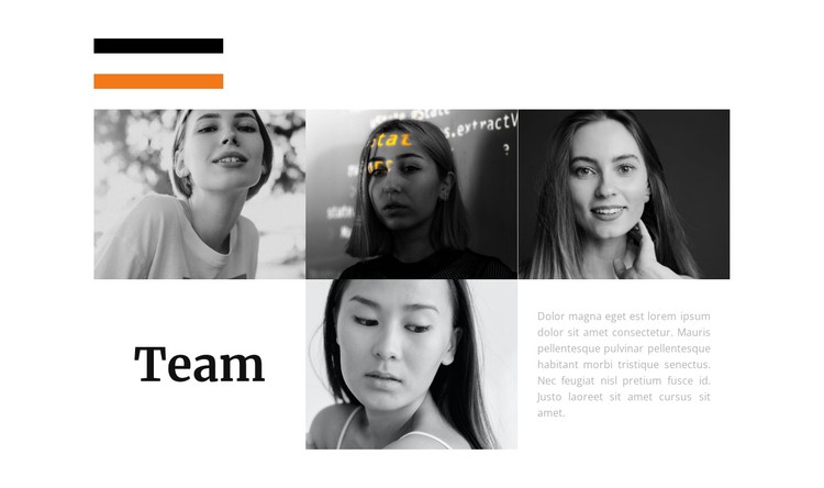 Stylist team CSS Template