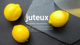 Recettes Juteuses