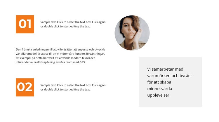 Två fakta om oss WordPress -tema