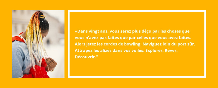 Commentaires sur la nouvelle collection Thème WordPress