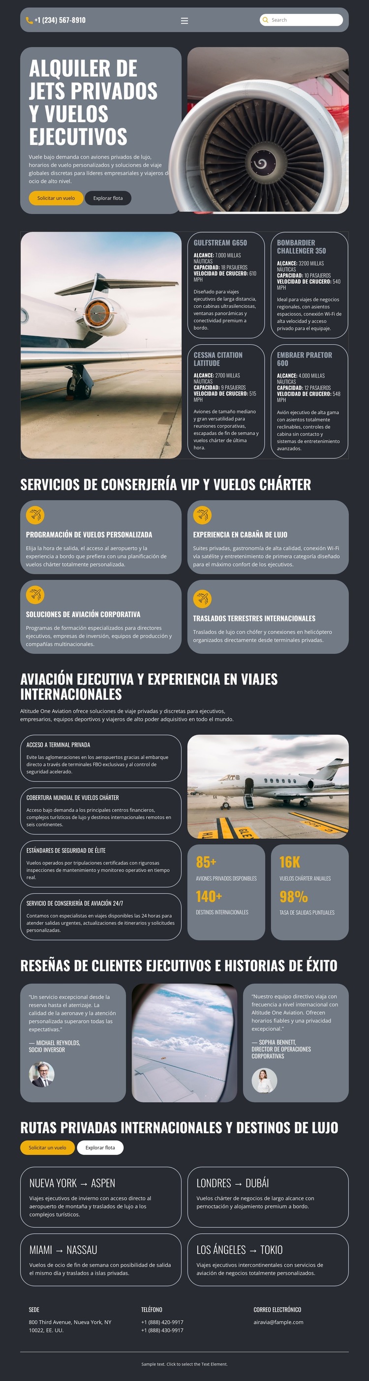Jet privado de lujo Plantilla de sitio web