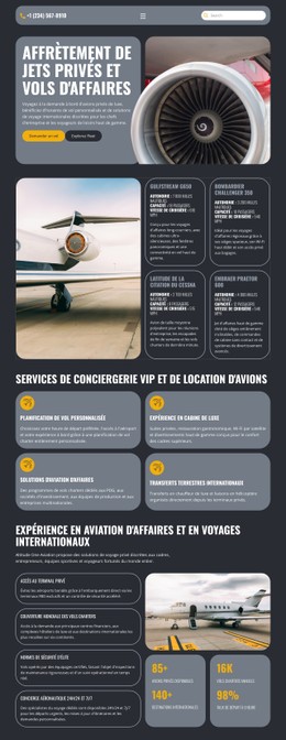 Jet Privé De Luxe Modèle CSS