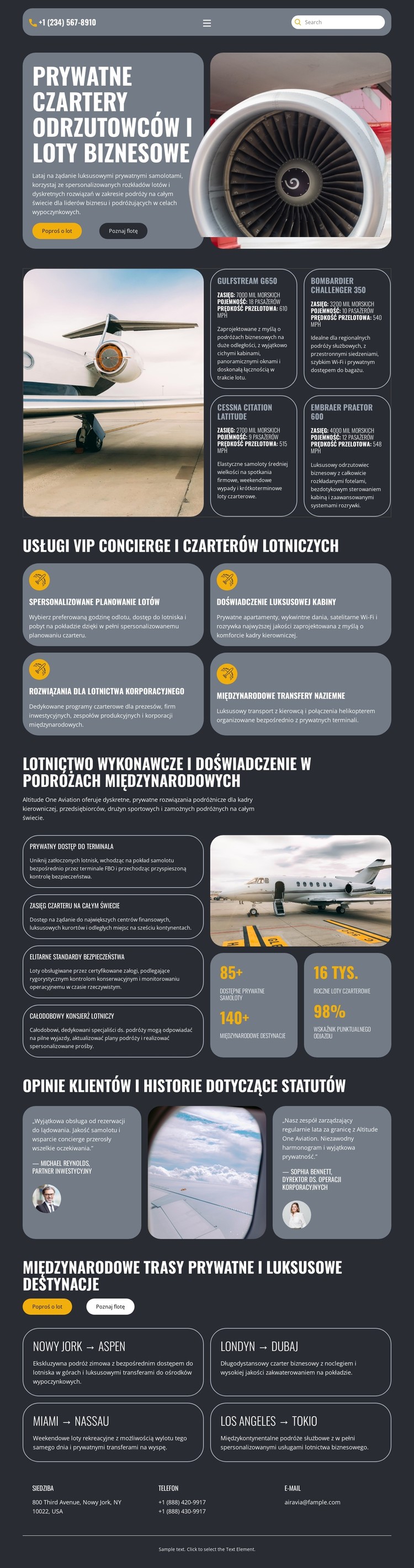 Luksusowy prywatny odrzutowiec Szablon CSS