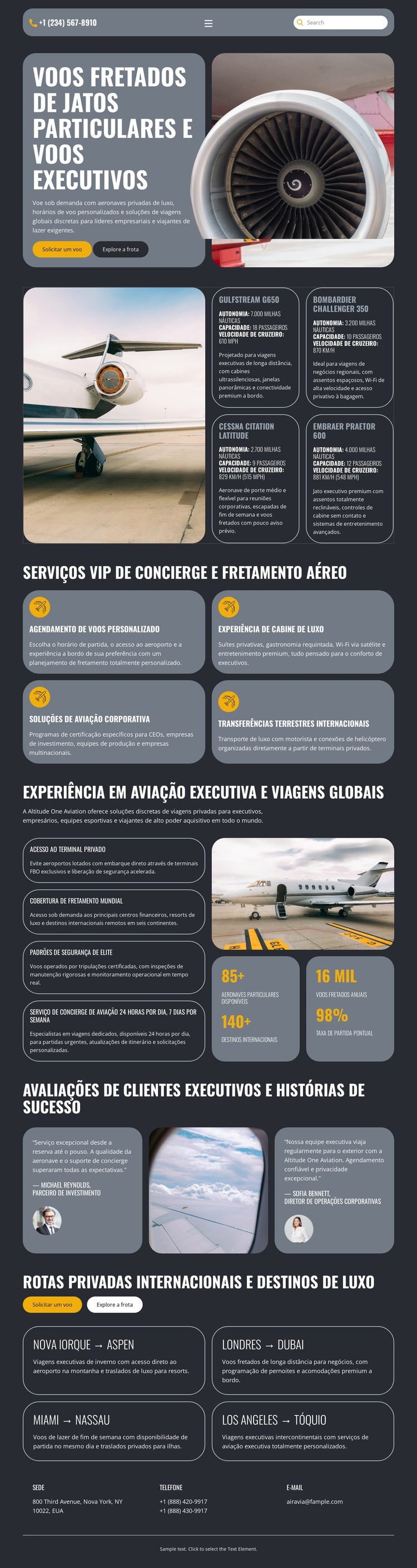 Jato particular de luxo Modelo HTML