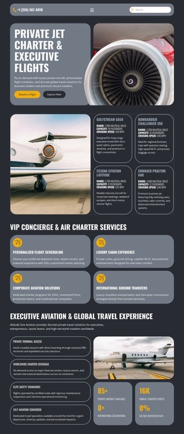 Free Design Template For Luxury Private Jet