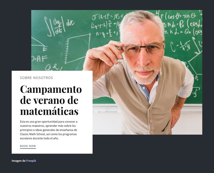 Campamento de verano de matemáticas Maqueta de sitio web