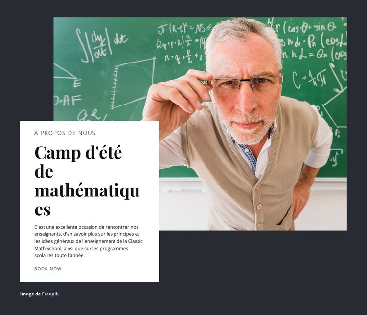 Camp d'été de mathématiques Maquette de site Web