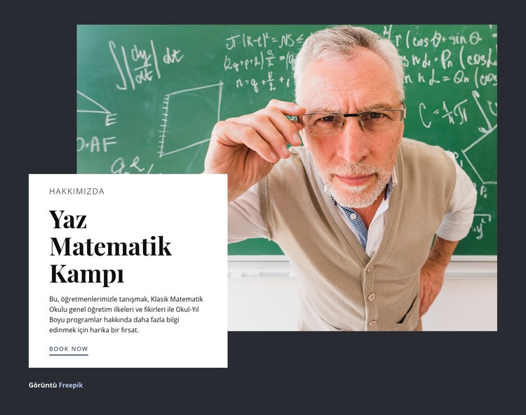 Yaz matematik kampı Açılış sayfası