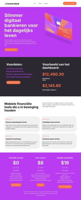 Moderne Digitale Bank - Websjabloon