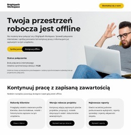 Strona Offline Firmy Profesjonalny Projekt