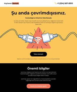 Bağlantı Yok Sayfası - Modern Web Şablonu