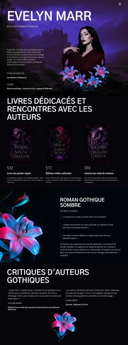 CSS Gratuit Pour Auteur De Fiction Sombre