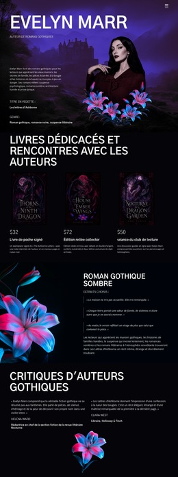 Auteur De Fiction Sombre - Modèle De Site Web Professionnel Premium