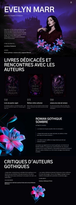 Auteur De Fiction Sombre : Modèle Créatif Polyvalent D'Une Page