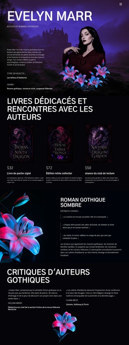 Auteur De Fiction Sombre - Thème WordPress Gratuit