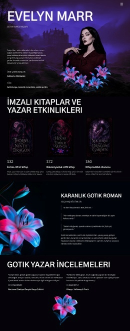 Karanlık Kurgu Yazarı Kişisel Blog