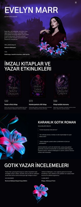Karanlık Kurgu Yazarı - Ücretsiz WordPress Teması