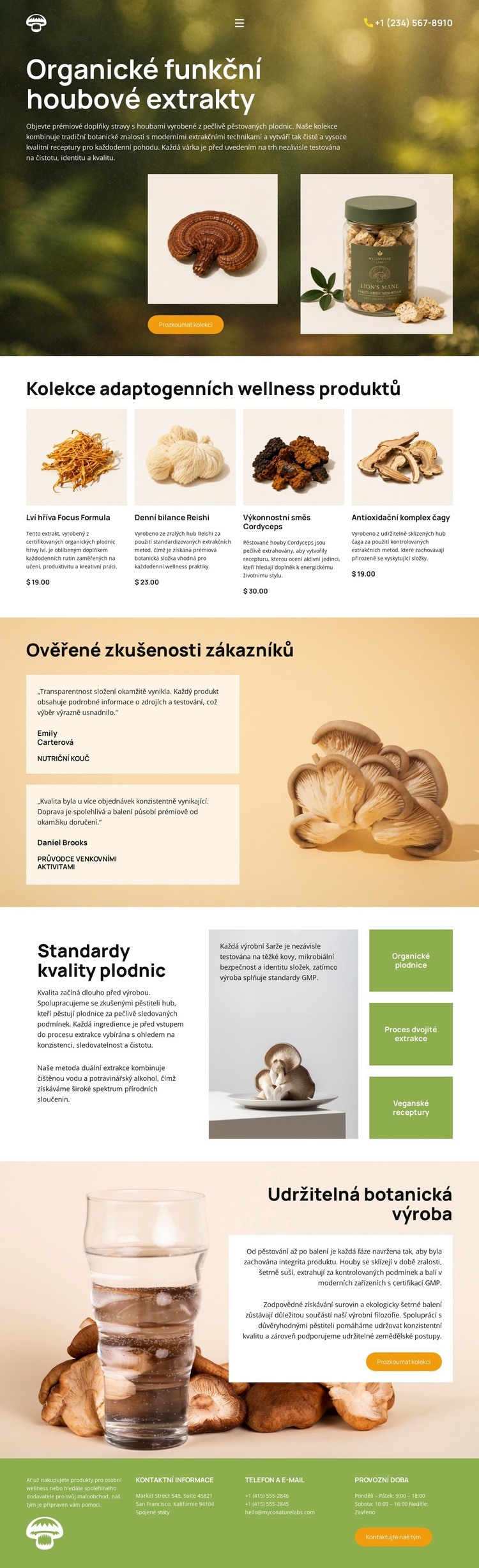 Zdraví s organickými houbami Šablona webové stránky