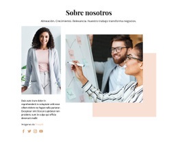 Programas De Desarrollo Para Organizaciones - Diseño De Sitios Web Profesionales