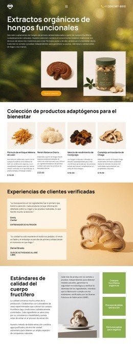Bienestar Con Hongos Orgánicos: Maqueta De Sitio Web Multipropósito