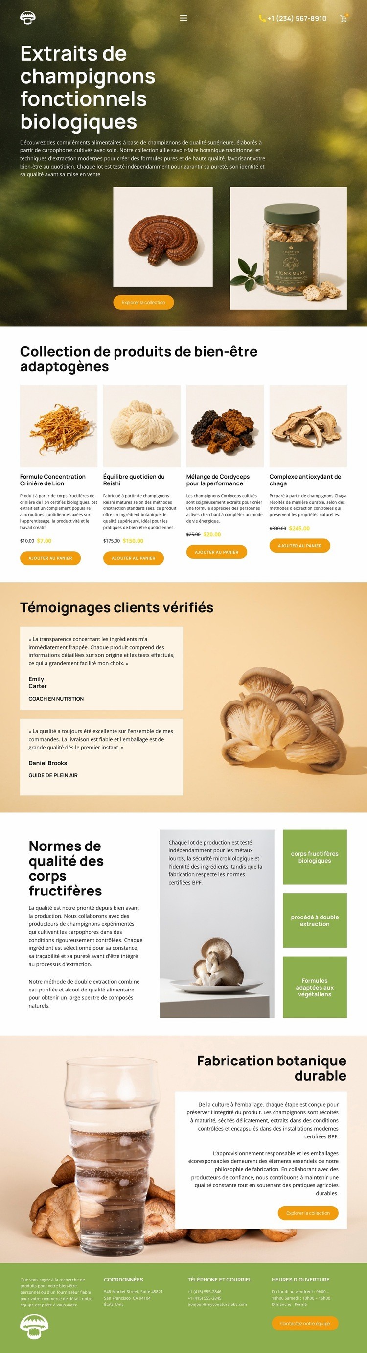 Bien-être aux champignons biologiques Maquette de site Web