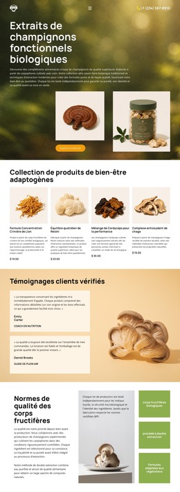 Nouveau Thème Pour Bien-Être Aux Champignons Biologiques