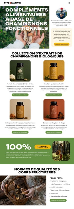 Champignons Biologiques - Modèles De Sites Web Personnels