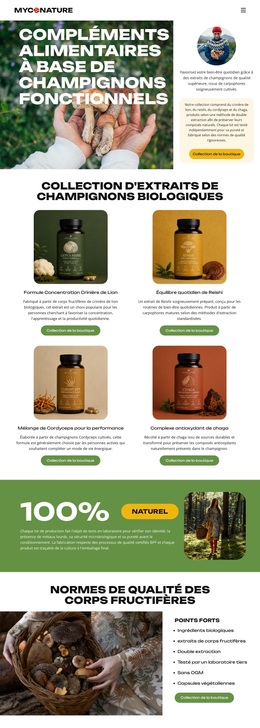 Thème WordPress Premium Pour Champignons Biologiques