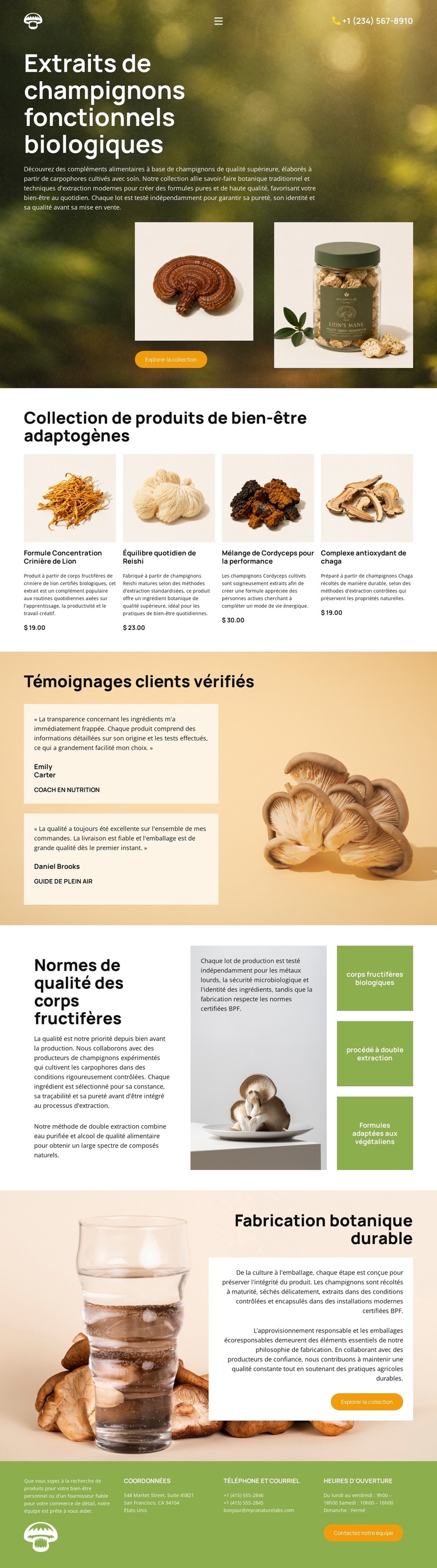 Bien-être aux champignons biologiques Thème WordPress