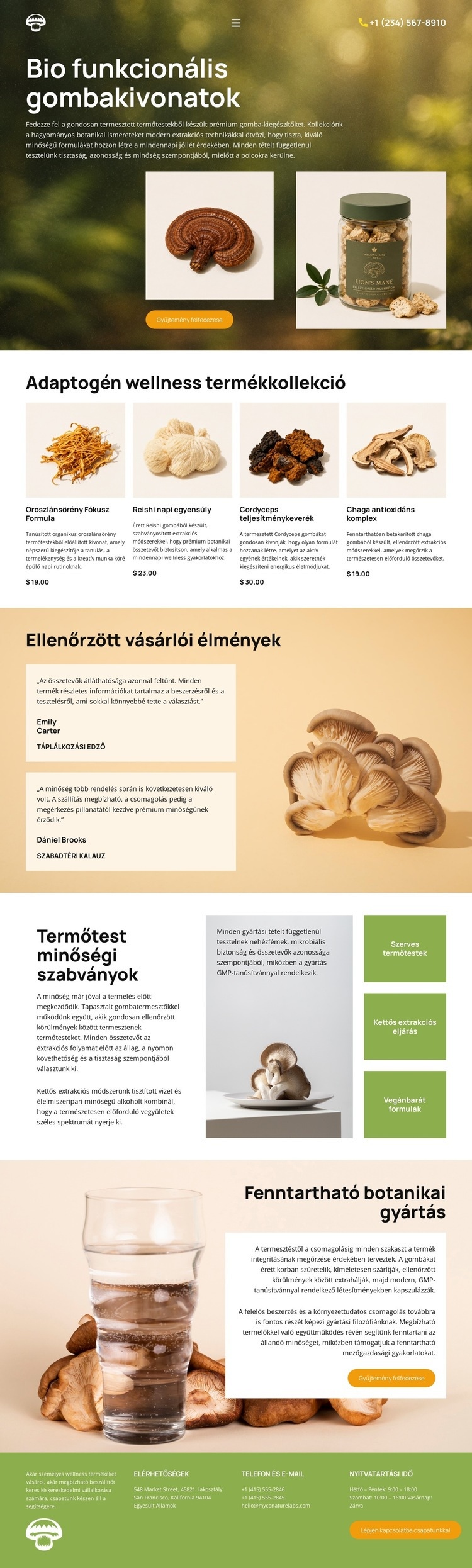 Bio gomba wellness Weboldal sablon