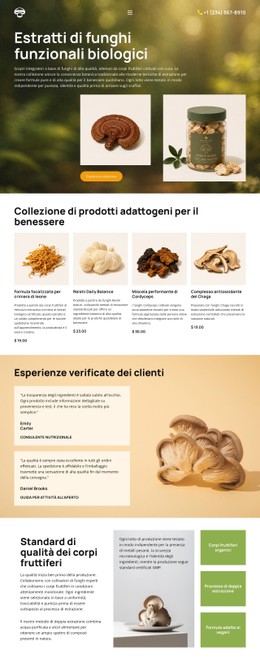 Benessere Con I Funghi Biologici Modello Di Griglia CSS