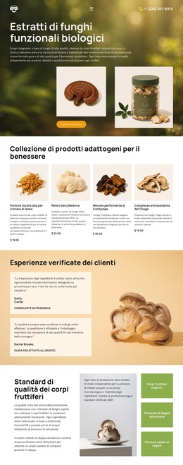 Benessere Con I Funghi Biologici - Bellissimo Modello Di Raccolta Di Colori