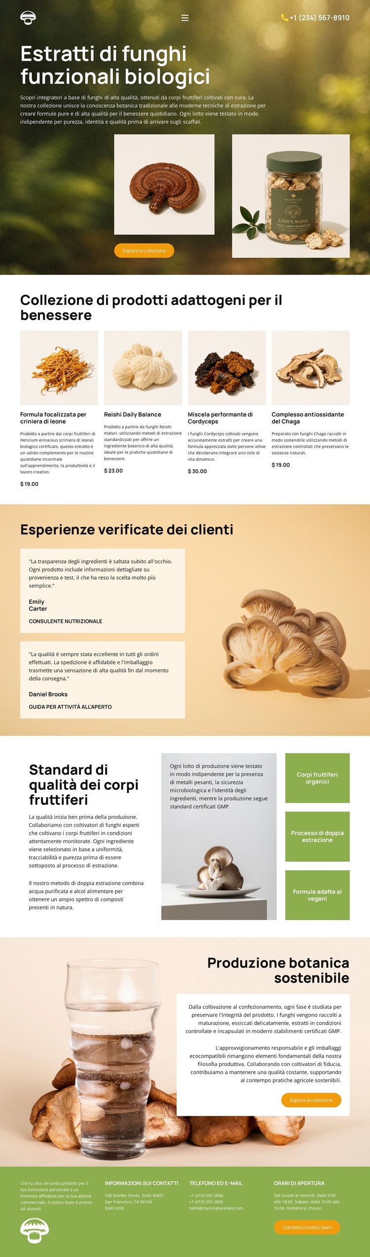 Benessere con i funghi biologici Modello di sito Web